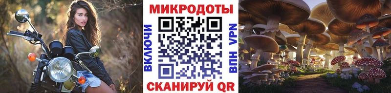 Галлюциногенные грибы Psilocybe  Купить  Усолье 